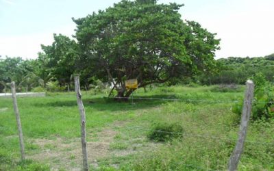 Lote Frente A La Bahia De Cartagena