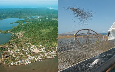 Por fin se aclara el lío de Tierra Bomba