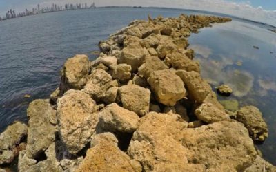 Listo primeros espolones que protegen costas de isla de Tierrabomba